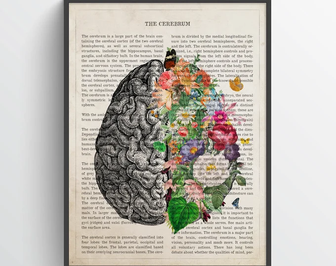 Brain Art Flower Anatomy Print