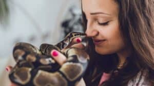 Gifts for Snake Lovers