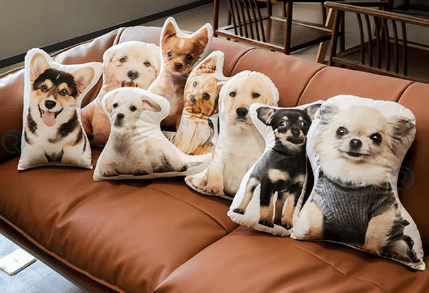 Custom Pet Pillow