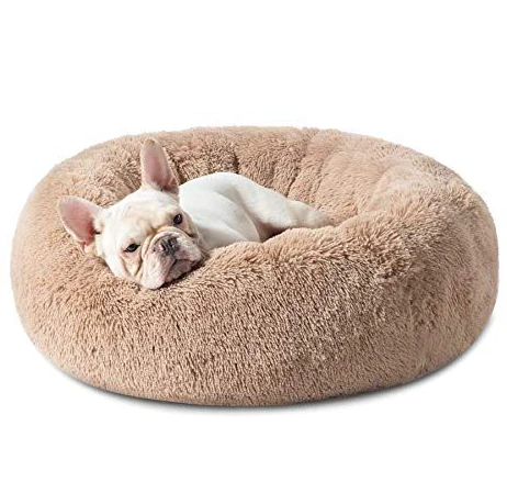 Anti Anxiety French Bulldog Bed
