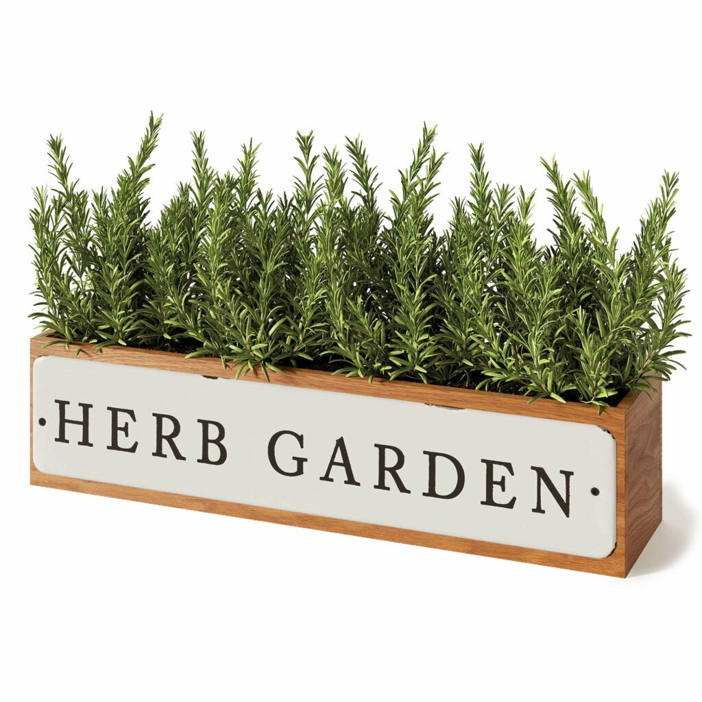 Window Box Herb Garden