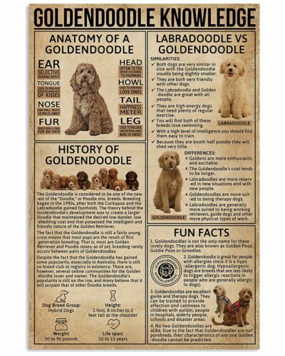 Goldendoodle Knowledge Poster