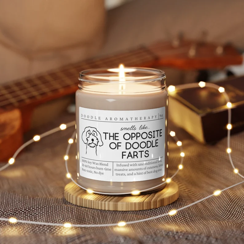 Opposite of Doodle Farts Candle